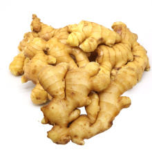 2020 New Fresh Chinese Ginger from Ginger Wholesales